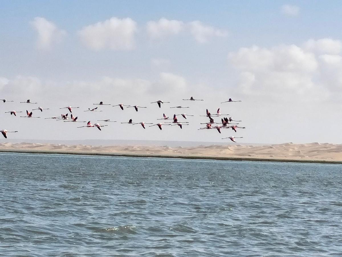 Hotel El Ghazi Tarfaya Exteriör bild