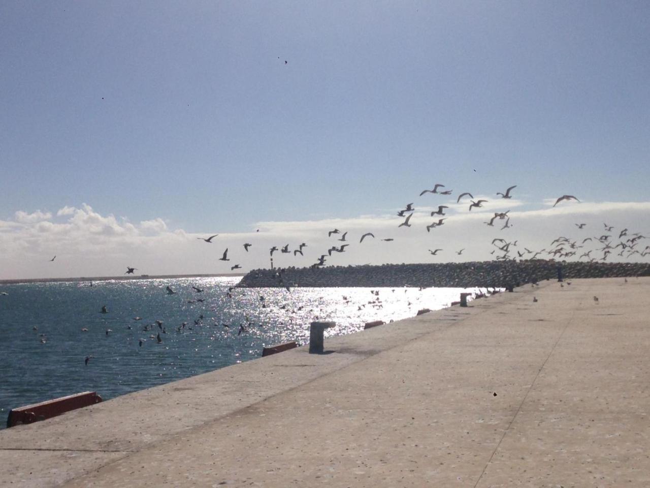 Hotel El Ghazi Tarfaya Exteriör bild